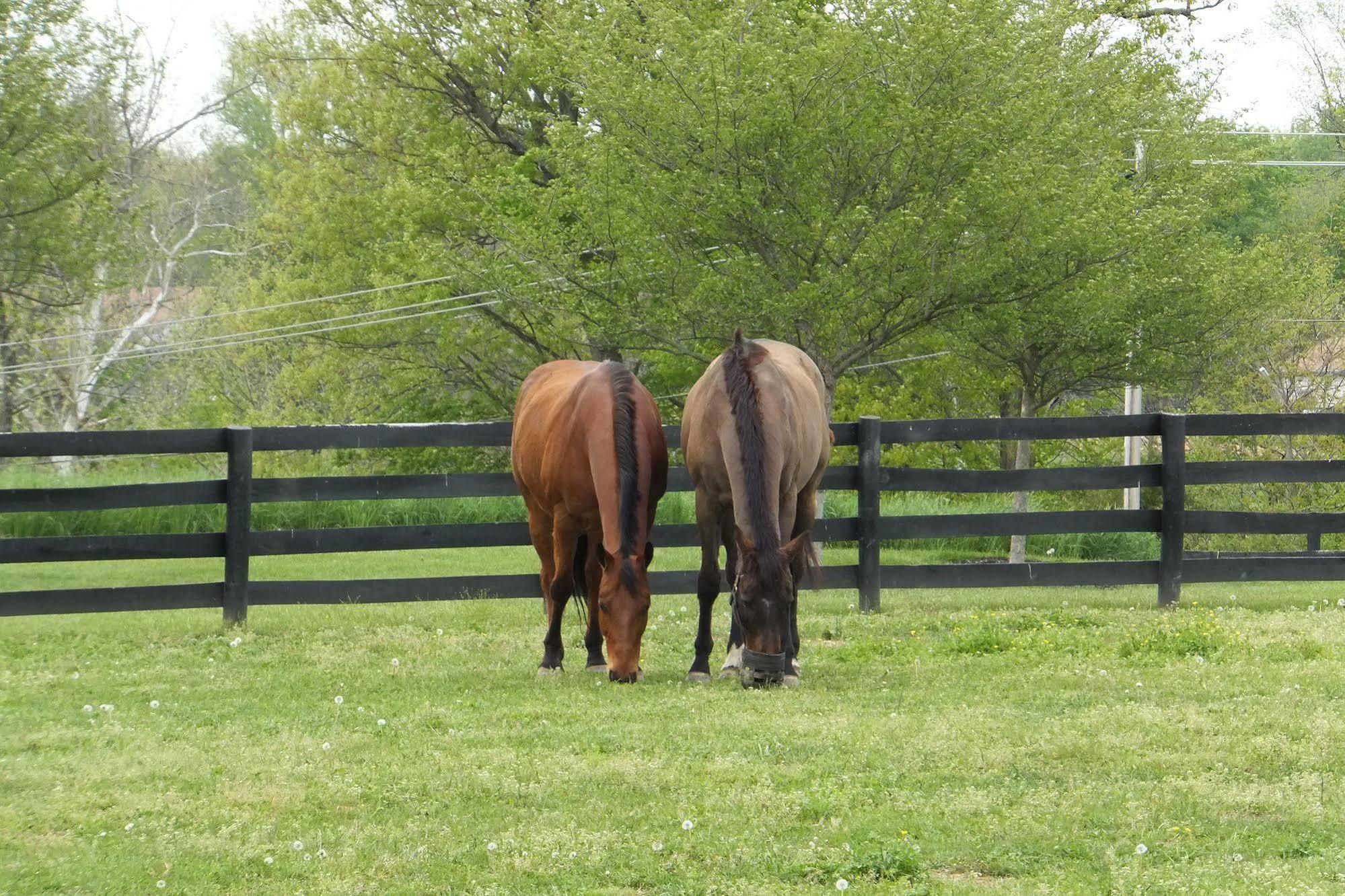 Bluegrass Country Estate Ξενοδοχείο La Grange Εξωτερικό φωτογραφία